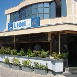 Lion Plus-2