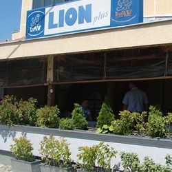 Lion Plus-4