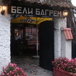 Beli bagrem-4