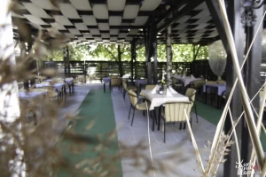 Moja Talija-cover-image-big