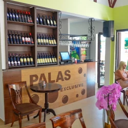 Palas Exclusive-1