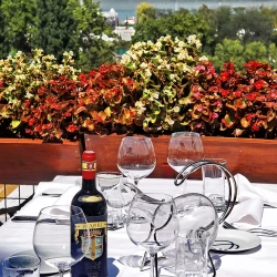 Restoran Kalemegdanska terasa-1