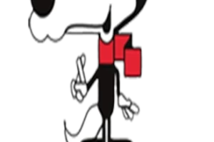 Vučko-cover-image-big