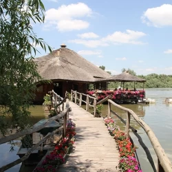 Restoran Čarda Stara Koliba-2