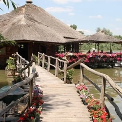 Restoran Čarda Stara Koliba-4