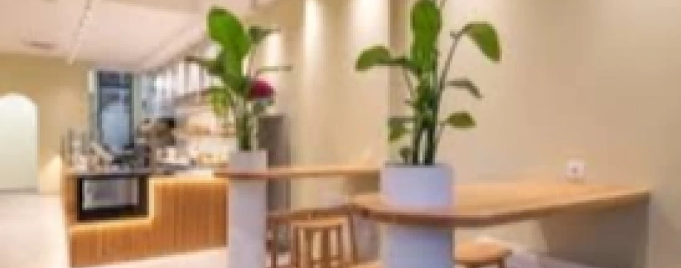 Exlusive Green | Salata bar-0