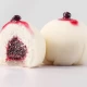 MOCHI DIVLJA RIBIZLA