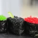 Tobiko
