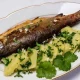 Pastrmka