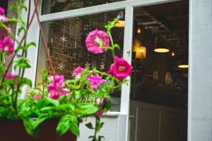 Supe i salate-cover-image-big