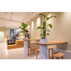 Exlusive Green | Salata bar-2