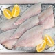 Orada filet 1 kg
