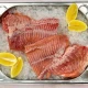 Som filet (rečni) 500 gr