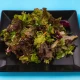 Vegeterijanska salata (posno)